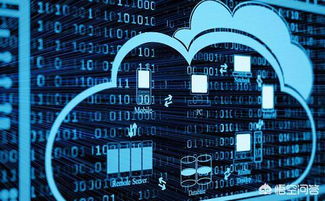 大專生就業(yè)前景分析 計(jì)算機(jī)網(wǎng)絡(luò)技術(shù)與云計(jì)算技術(shù)與應(yīng)用對(duì)比